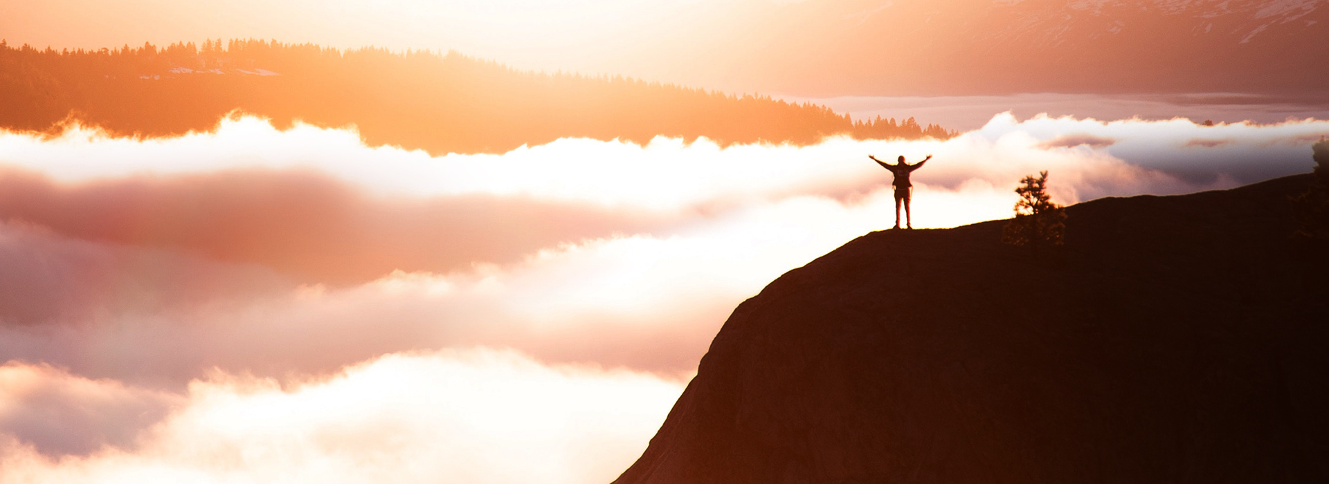 BWIN��Ӯ���޿Ƽ�-AI������_�����̳�_�����ŵ�